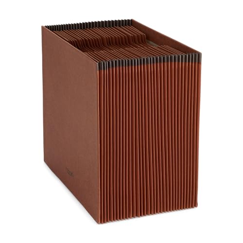 Blue Summit Heavy Duty Accordion File Organizer, Expanding File, Open Top, Letter Size, 31 Day File Organizer with 31 Pockets