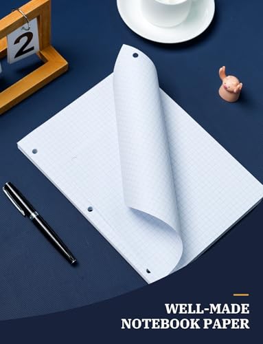 260 Sheets Loose Leaf Paper, 4x4 Graph Ruled, 8''x 10.5'' Filler Paper, 3-Hole Punched Binder Paper, Quad Ruled Graph Paper 8 x 10-1/2, Quadrille Graph Paper Loose Leaf Bulk with 3-Ring for Binder - style: 8x10.5-Squared-4x4-2 Pack (260 Sheets)