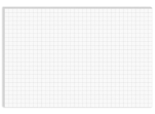 Graph Paper Pad - 36" x 24" Large Graph Paper, 30 Sheets/60 Pages, 4"x4" Ruled Grid Paper for Engineer Architect Designer Mathematician Draftsmen Sketch House Commercial Building Plan Drafting - size: 1-Pack, style: 24" x 36"