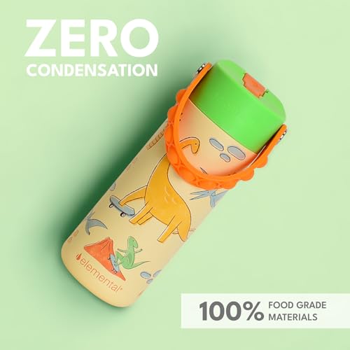 Elemental Insulated Kids Water Bottle, Stainless Steel Water Bottle with Straw Lid & Pop-It Handle, Leak-Proof Water Bottles for School, Boys or Girls, Travelling and Sports, 18oz - Skater Dinos - color: Skater Dinos