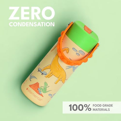 Elemental Insulated Kids Water Bottle, Stainless Steel Water Bottle with Straw Lid & Pop-It Handle, Leak-Proof Water Bottles for School, Boys or Girls, Travelling and Sports, 18oz - Skater Dinos - color: Skater Dinos