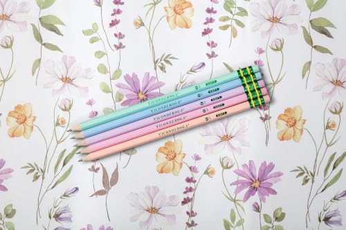 Ticonderoga® Pastel Pencils, 2 Soft, Assorted Colors, Pack Of 10 Pencils - style: 10 Count Pastel