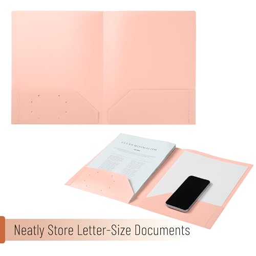 Mr. Pen- Plastic Folders with Pockets, 5 pcs | Aesthetic File Folder with Business Card Slot, 2-Pocket Folder, Back to School, Office, Filing Supplies - color: Rose Garden, size: 5 Pack