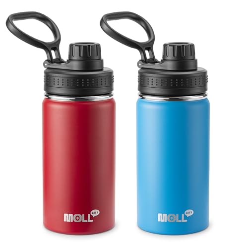 12 oz Water Bottle Stainless Steel Vacuum Insulated Wide Mouth Sports Flask, 2 Pack Water Bottle with Leakproof Spout Lid (Canyon Red-Sky Blue) - color: Canyon Red-Sky Blue, size: 12 Ounces