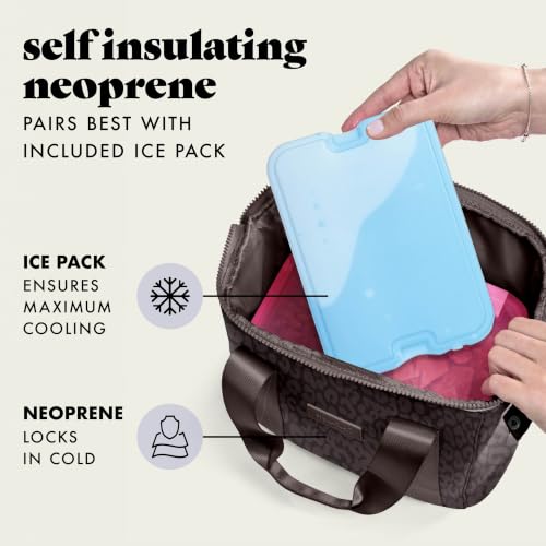 Fit & Fresh Remi Lunch Bag for Women Work – Neoprene Lunch Tote with Containers & Ice Pack, Reusable Meal Prep Lunch Box, Large Capacity, Machine Washable - color: Chocolate Feline Fine