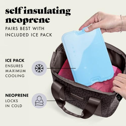 Fit & Fresh Remi Lunch Bag for Women Work – Neoprene Lunch Tote with Containers & Ice Pack, Reusable Meal Prep Lunch Box, Large Capacity, Machine Washable - color: Chocolate Feline Fine
