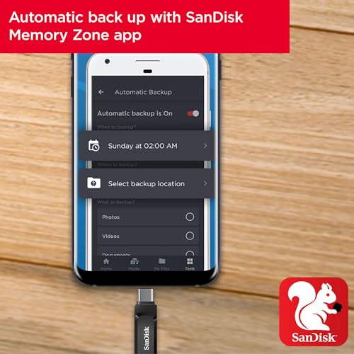 SanDisk 32GB Ultra Dual Drive Go USB Type-C Flash Drive, Black - SDDDC3-032G-G46 - size: 32GB