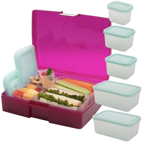 Bentology Bento Lunch Box Set w 5 Leakproof Made-to-Size Snack Containers & Built-In Utensil Holder- Meal Prep Made Easy w Reusable, Kid's Back to School or Office- Durable, BPA Free, Dishwasher Safe - color: Raspberry