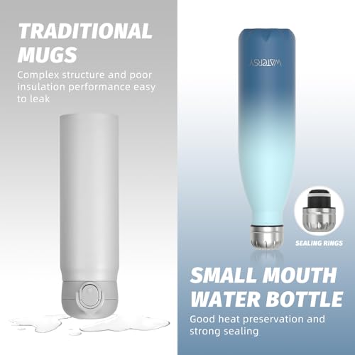 WATERSY Stainless Steel water bottles,17oz/500ml Insulated Water Bottles,Ocean Blue metal water bottle Keeps Drink Cold and Hot,BPA Free kids water bottles for School,Gym,Travel,Sports - color: Ocean Blue