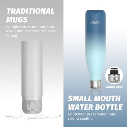 WATERSY Stainless Steel water bottles,17oz/500ml Insulated Water Bottles,Ocean Blue metal water bottle Keeps Drink Cold and Hot,BPA Free kids water bottles for School,Gym,Travel,Sports - color: Ocean Blue