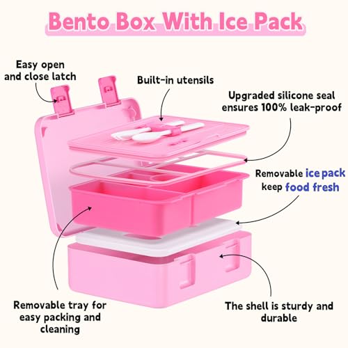 rockpapa Chill Bento Box for Kids- Large 5.5 Cups Lunch Box with Ice Pack - 5 Compartments, BPA-Free, Leak Proof, with Utensils & Portable Handle, Microwave/Dishwasher Safe (Pink Fairies) - color: Pink Fairies