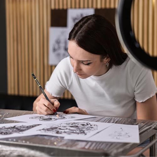 PATIKIL 12Pcs Drawing Pencils for Sketching, 2H Refill Sketch Pencils for Drawing, Graphite Art Pencil Set Professional Resistant Lead for Painting Shading Artist Office Supplies - size: 2H