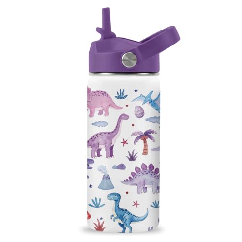Hiboss Dinosaur Water Bottle for Kids, 16oz Kids Water Bottle Stainless Steel Insulated with Straw Lid, Purple Dino Travel Cup Tumbler Gift for Teens Girls Boys On School Sport - color: Dinosaur - 02