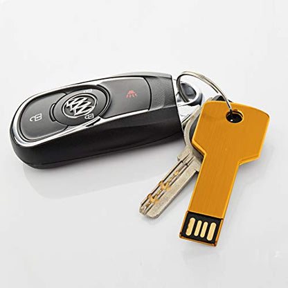 RAOYI 10 Pack 2GB USB Flash Drive USB 2.0 Metal Key Shape Memory Stick Thumb Drive Pen Drive-Gold - color: Gold, size: 2GB