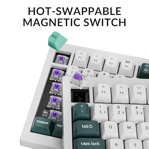 Keychron Q1 HE Wireless Custom Magnetic Keyboard, QMK Launcher | Rapid Trigger 2.4 GHz & Bluetooth 5.2 with Gateron Double-Rail Magnetic Switch for Mac Windows Linux (Hot-swappable) - White - color: White