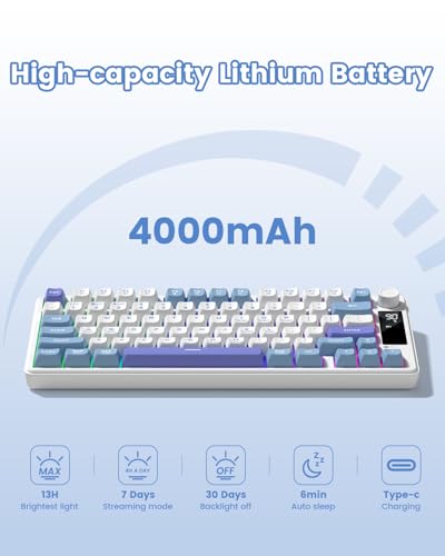 Womier DK75 75% Wireless Gaming Keyboard, RGB Backlit Creamy Keyboard with Media Knob, OLED Screen, Tri-Mode 2.4GHz/USB-C/BT5.0, Anti-Ghosting No-Conflict Silent Membrane Keyboard for MAC Windows - color: Blue&Purple