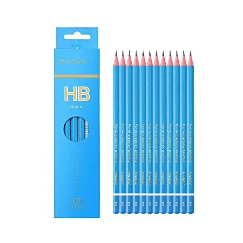 Sketch Pencils for Drawing HB, 12pcs Professional Art Drawing Pencils for Shading, Sketching & Doodling | Graphite Pencil for Artists & Beginners - style: HB 12pcs