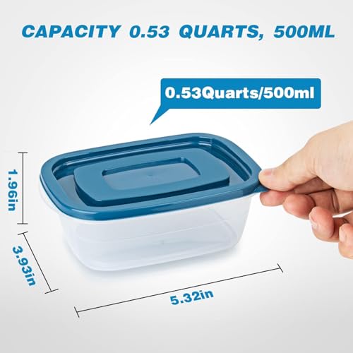 5PCS Small Food Storage Containers,Freezer Microwave safe,Food Container Sets,BPA Free Plastic Meal Prep Containers & Kitchen Set,Lunch Containers,use for School,Work and Travel,0.53 Quarts Per Box - color: 5PCS (500ML Container Set)