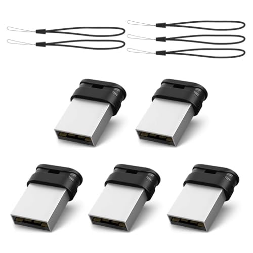 RAOYI 5 Pack 16GB USB 2.0 Flash Drive Mini Fit USB Stick with Lanyard, Black - color: black 5 pack, size: 16GB-2.0