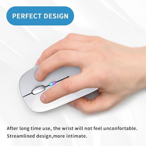 Wireless Bluetooth Mouse, Rechargeable, LED, Silent, Ultra-thin Design (Bluetooth 5.2 and 2.4GHz USB Receiver) | Portable Computer Mouse for Laptops, iPads, MacBooks and Apple Devices (Silver) - color: Silver