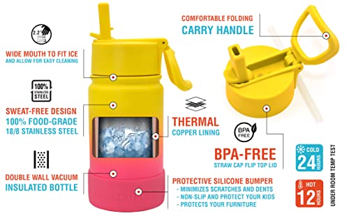 CHILLOUT LIFE 12oz Kids Insulated Stainless Steel Water Bottle with Leak Proof Straw Lid & 144 Stickers - color: Nectarine, style: 12 oz