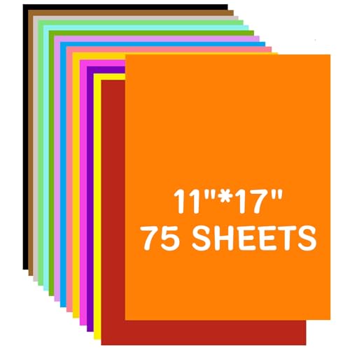 75 Sheets Colored Cardstock Paper 11"x17", 230 GSM A3 Card Stock, 15 Colors Multi-Color Construction Paper for Crafts, Art Projects, School, DIY, Party Decorations, Poster Board, Large Paper