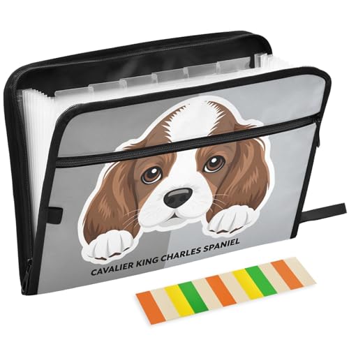 Cavalier King Charles Spaiel Puppy Expanding File Folder 13 Pockets with Zipper Cute Dog Expandable Filing Folders Accordion Document Files Organizer for A4 Letter Size Paper - color: Multi4
