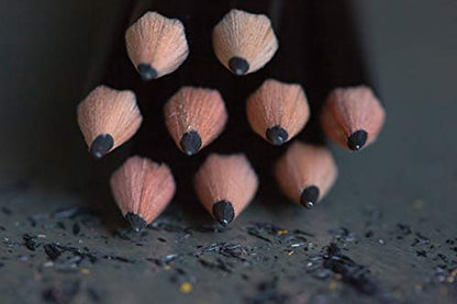 Ticonderoga Pencils, 2 HB Soft, Black | Wood-Cased | Unsharpened | 24 Count Total - size: 12 Count (Pack of 2), style: Pencils