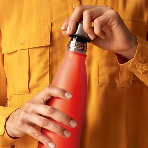 Mont-Clair Stainless Steel Water Bottle, Vacuum insulated - BPA Free, 12h Hot & 24h Cold Drinks, Metal Water Bottle 17 oz Leakproof, Ideal for Adult, Kids, Running - Orange - color: Orange, style: 17 Ounces