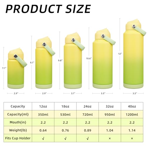 BJPKPK Insulated Water Bottle with Straw Lid, 18oz Thermo Water Bottles, Flex Handle & Non-slip Boot, BPA Free Leak Proof Stainless Steel Metal Thermo, Tumblers, Cups,Fresh Green - color: Fresh Green, size: 18 Ounces