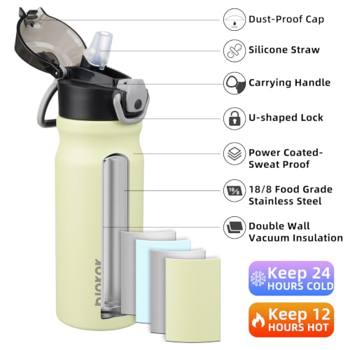 BJPKPK Insulated Water Bottle 18oz Stainless Steel Water Bottles with Straw and Carry Handle Double Wall Metal Thermal Flask,Macaron Green - color: Macaron Green, size: 18 Ounces