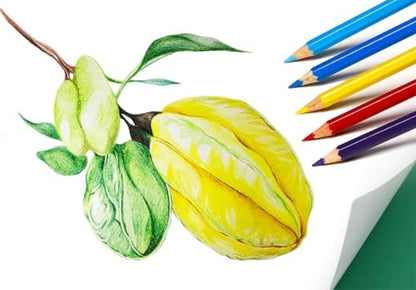 SKKSTATIONERY 색연필 50개, 50가지 선명한 색상, 스케치, 예술, 컬러링 북용 드로잉 연필, 신학기