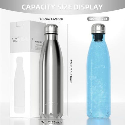 WATERSY Stainless Steel water bottles,17oz/500ml Insulated Water Bottles,Sliver metal water bottle Keeps Drink Cold and Hot,BPA Free kids water bottles for School,Gym,Travel,Sports - color: Metal