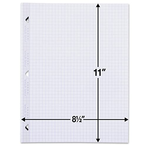 Five Star Loose Leaf Paper, Notebook Paper, Graph Paper, Reinforced Filler Paper, Fights Ink Bleed, 8.5 x 11, 100 Sheets/pack (3 count) - size: 3 Pack, style: 100 Sheets