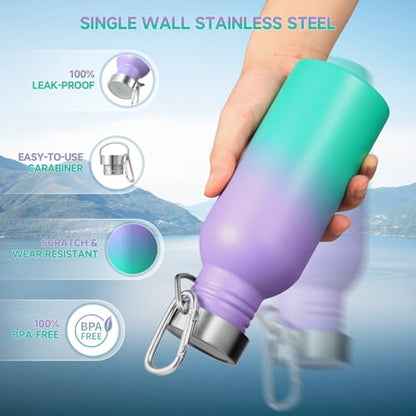Volhoply 20oz Uninsulated Single Walled Water Bottle, Stainless Steel Reusable Water Bottles with Handle & Carabiner, BPA Free 18/8 304 Sports Water Bottles for Camping Hiking（Purple Green,1） - color: Purple Green