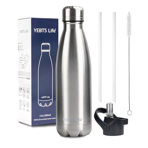 Insulated Water Bottle,17oz Stainless Steel Water Bottles with straw lid, Metal Sports Water Bottles for Boys,Girls, Double Wall Vacuum BPA-Free Flask for School, Sports(SLIVER) - color: 1 Pack-Sliver, size: 17 Ounces