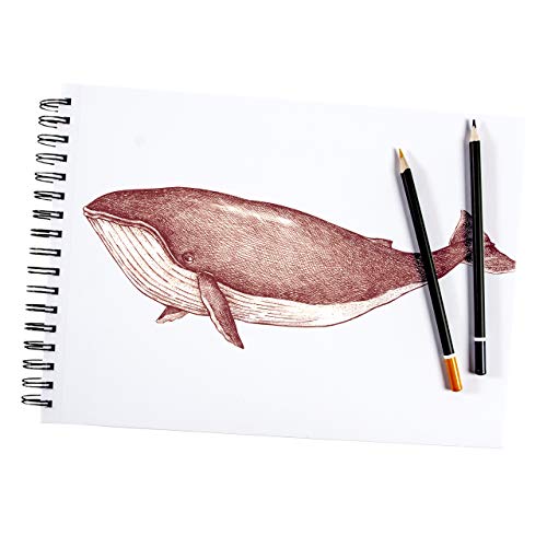 ARTISTIK Spiral Sketch Pad – 100-Sheet Perforated Sketchbook for Pencil, Pastel & Crayon – 100 g/m²(68lb) Mixed Media Sketching & Writing Pad – 9" x 12", Pack of 2 - size: Sketch Pad 9 x 12"