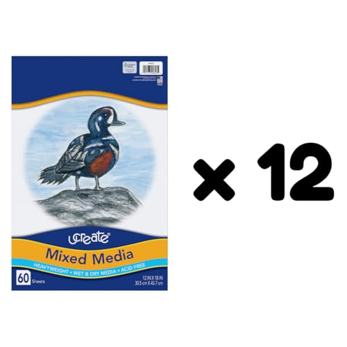 UCREATE Mixed Media Art Paper PAC4843, 12" x 18", Heavyweight, 60 Sheets/Pack, Case of 12 Packs, 720 Sheets Total - size: 60 Count (Pack of 12)