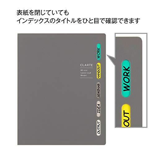 Maruman CLARTE B5 Size 26-Ring Binder, 5 Index Window Cover, with 5-tab dividers + 10 Loose Leaf Papers + 1 Clear Pocket, Gray, 1 EA (F311-11) (Pack of 2) - color: Gray, size: B5 (Pack of 2)
