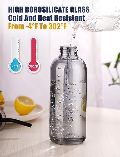 NiHome Glass Water Bottle 25oz/750ml with Two Caps, Stainless-Steel Straw, Brush and Silicone Cover, High Borosilicate Glass for Hot & Cold Beverages, Leak-Proof for Travel, Gym, Office (Smoky Gray) - color: Smoky Gray