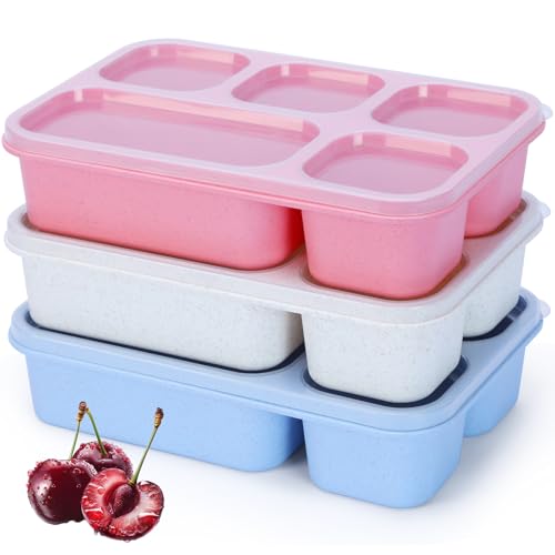 Rinwoc Bento Box Adult [Portion Size], 3 Pack Snack Containers with 5 Compartments for Meal Prep & On-the-Go [Work, Travel], Lunchable Container Reusable and BPA-Free - size: Large