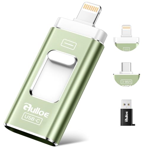 Gulloe 256GB Dual Interface Flash Drive for Phone Storage Photos Videos, Phone USB Backup External Photo Memory Stick - No App Required, Compatible with iPhone, iPad, Android & PC (Sage Green) - color: Sage Green, size: 256GB