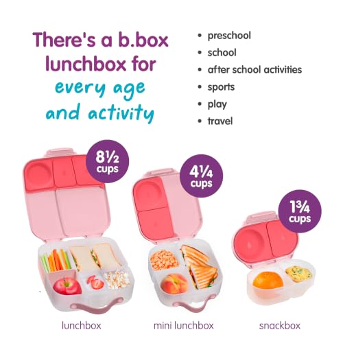 b.box Mini Lunch Box Kids | 4.25 Cup Leak Proof Bento Box for Kids Ages 3+ | 3 Compartment Snack Containers, School Lunch Container, Dishwasher Safe, BPA-Free, PFAS-Free - Flamingo Fizz - color: Flamingo Fizz, size: 1-pack