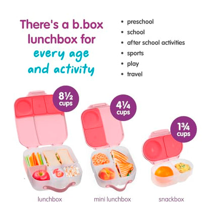 b.box Mini Lunch Box Kids | 4.25 Cup Leak Proof Bento Box for Kids Ages 3+ | 3 Compartment Snack Containers, School Lunch Container, Dishwasher Safe, BPA-Free, PFAS-Free - Flamingo Fizz - color: Flamingo Fizz, size: 1-pack