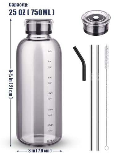 NiHome Glass Water Bottle 25oz/750ml with Two Caps, Stainless-Steel Straw, Brush and Silicone Cover, High Borosilicate Glass for Hot & Cold Beverages, Leak-Proof for Travel, Gym, Office (Smoky Gray) - color: Smoky Gray