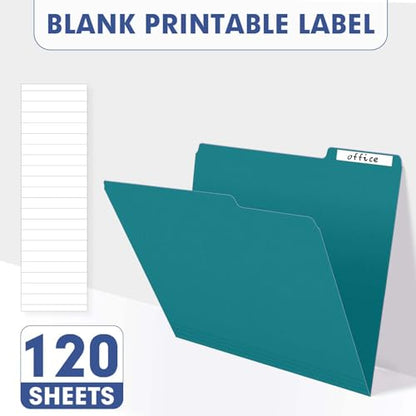 File Folder, PANDRI 120 Pack File Folder, 1/3 Cut Tab, Letter Size, Filing Folder for Office School Business, Turquoise - color: Turquoise