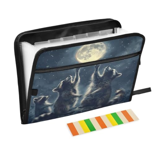 ALAZA Raccoon Moon Night Expandable Filing Folder Storage Organiser Box Files, 13 Pockets Zip Filing Folders for Home or Office Documents - color: Multicolored14