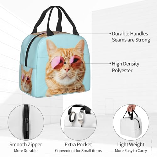 Sunglasses Cat Lunch Box - Insulated Lunch Bags for Women/Men Funny 3D Design Reusable Lunch Tote Bags, Perfect for Office/Camping/Hiking/Picnic/Beach/Travel - color: Sunglasses Cat