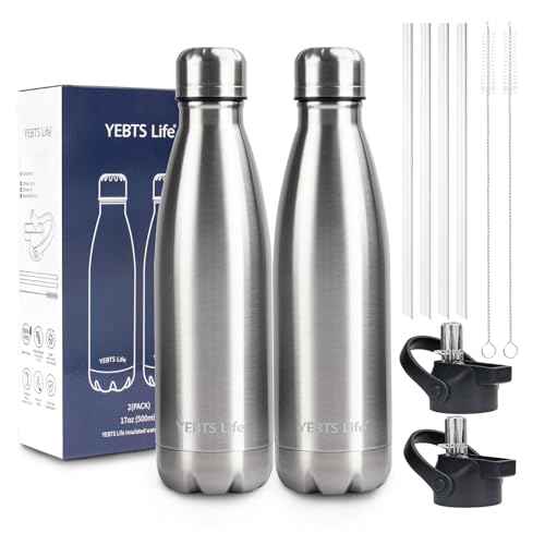 Insulated Water Bottle, 2 Pack-17oz Stainless Steel Water Bottles with straw lid, Metal Sports Water Bottles for Boys,Girls, Double Wall Vacuum BPA-Free Flask for School, Sports & Travel-Silver - color: Silver/2 pack, size: 17 Ounces