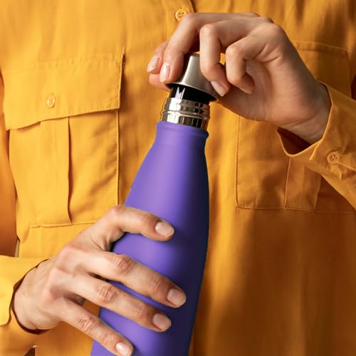 Mont-Clair Stainless Steel Water Bottle, Vacuum insulated - BPA Free, 12h Hot & 24h Cold Drinks, Metal Water Bottle 17 oz Leakproof, Ideal for Adult, Kids, Running - Purple - color: Purple, style: 17 Ounces